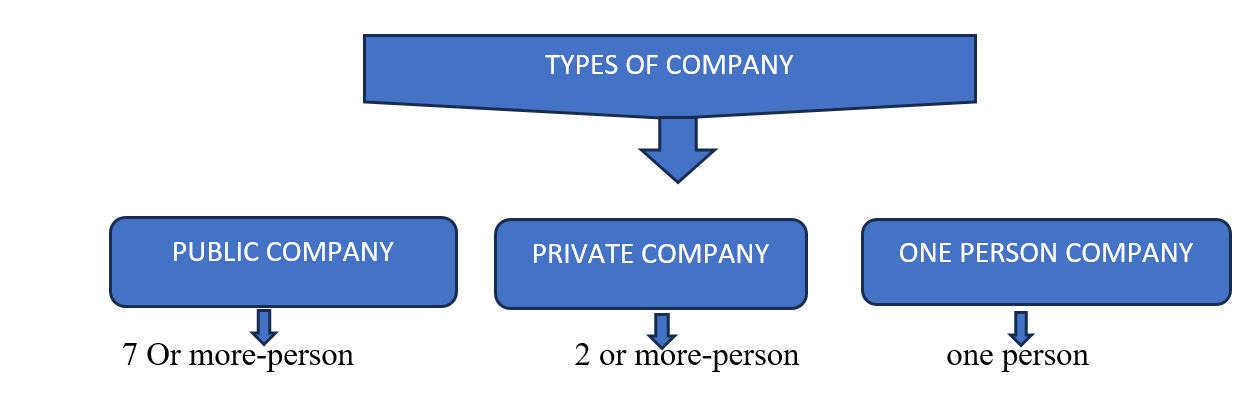 Type of Company